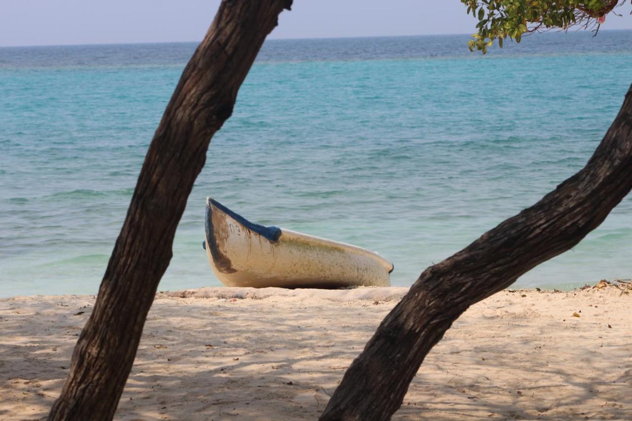 Eco Palmeras Isla Grande (Cartagena)