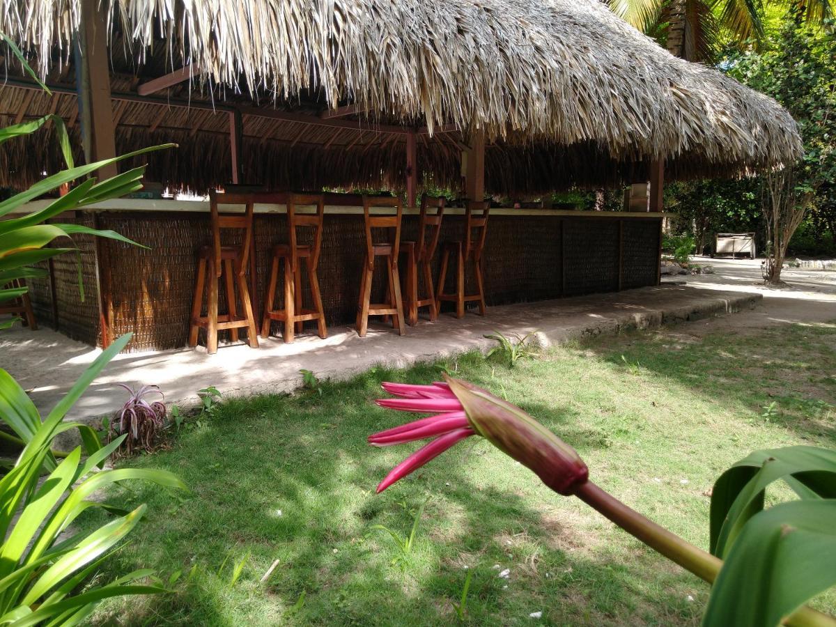 Eco Palmeras