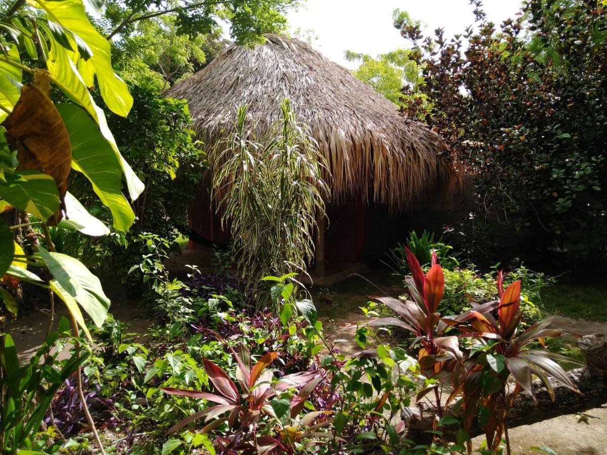 Eco Palmeras Lodge Isla Grande (Cartagena)