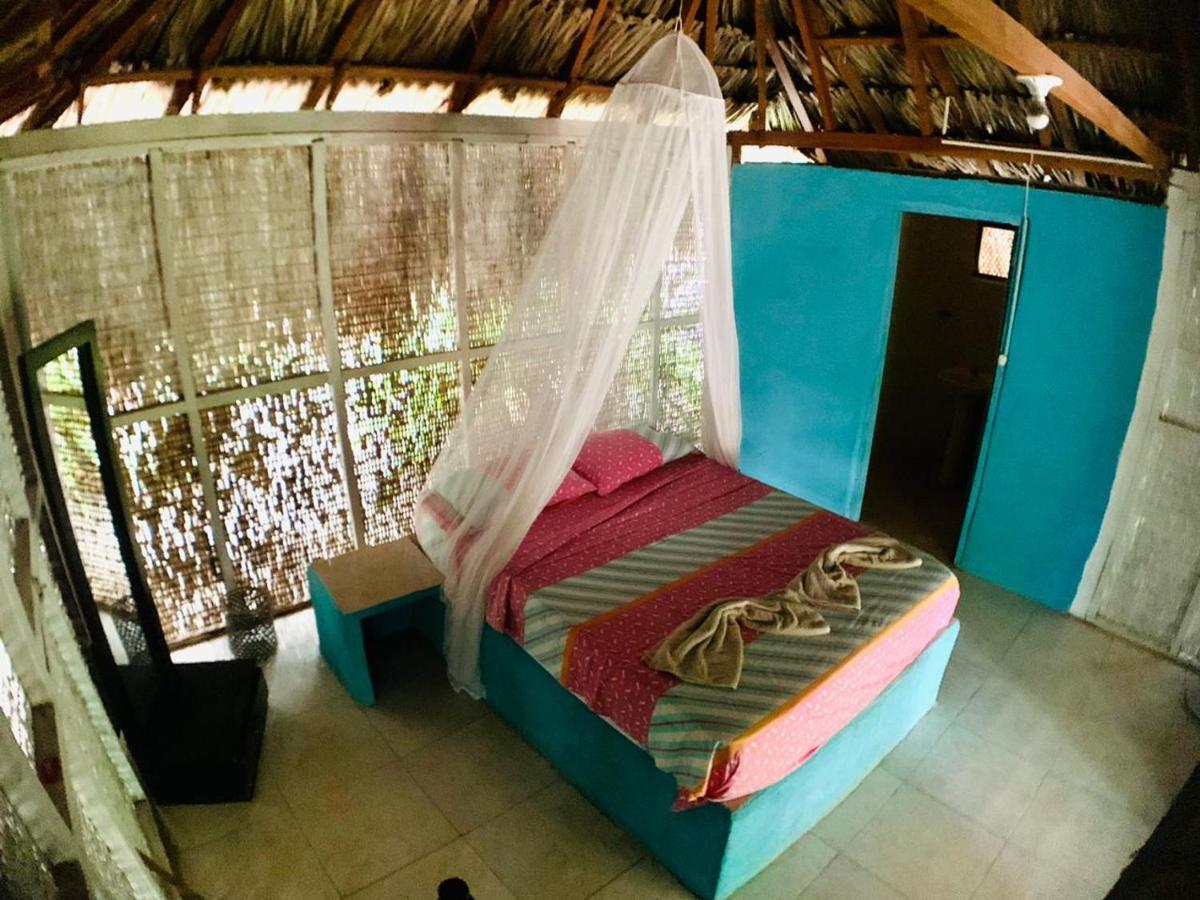 Eco Palmeras *