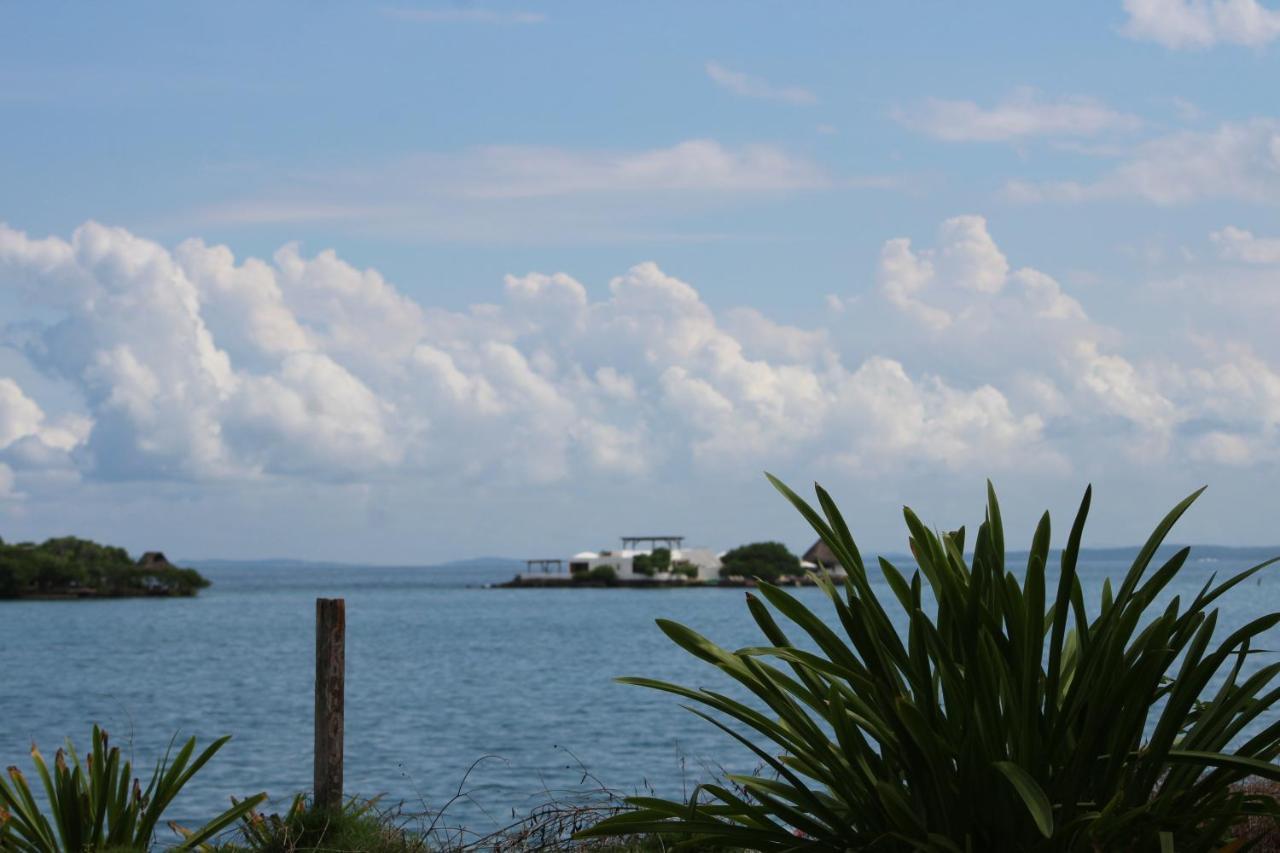 Eco Palmeras Lodge *